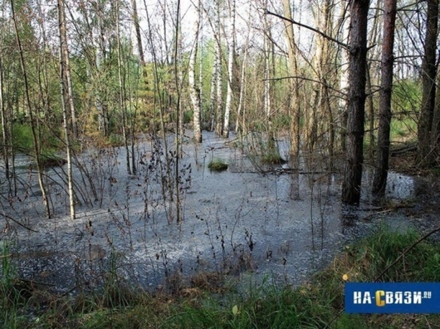 Фото с места происшествия. Фото с портала «На связи»